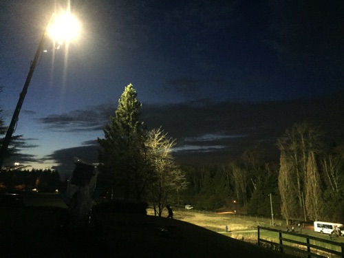 'Lost Ollie'
DOP C.Kim Miles


